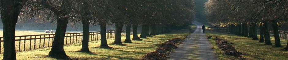 Driveways To Highways